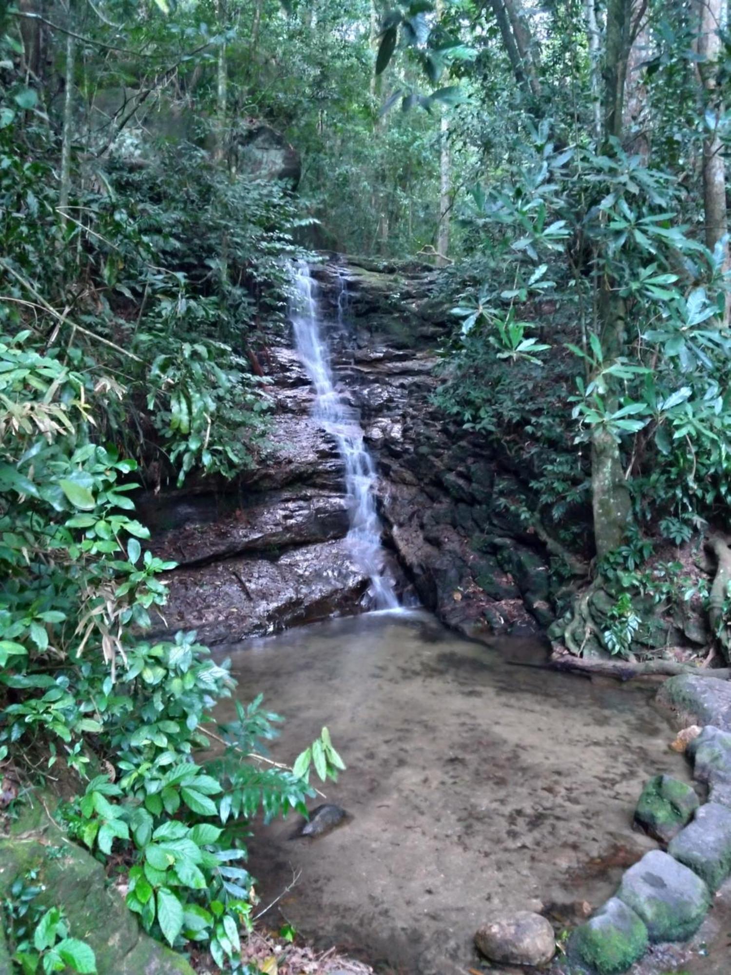 Rio National Park H&C Bed & Breakfast Rio de Janeiro Dış mekan fotoğraf